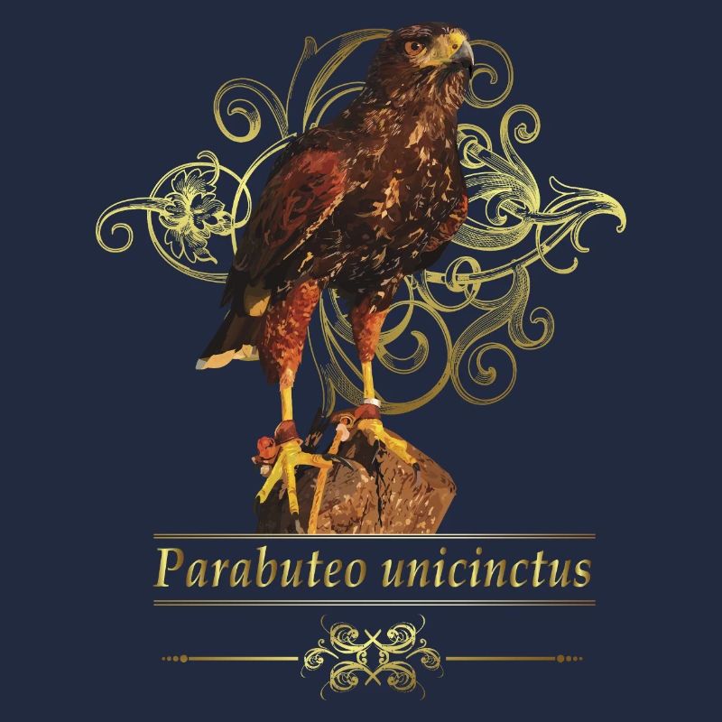 Reddish-reddish hawk