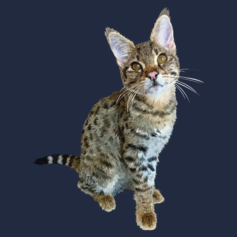 Tabby