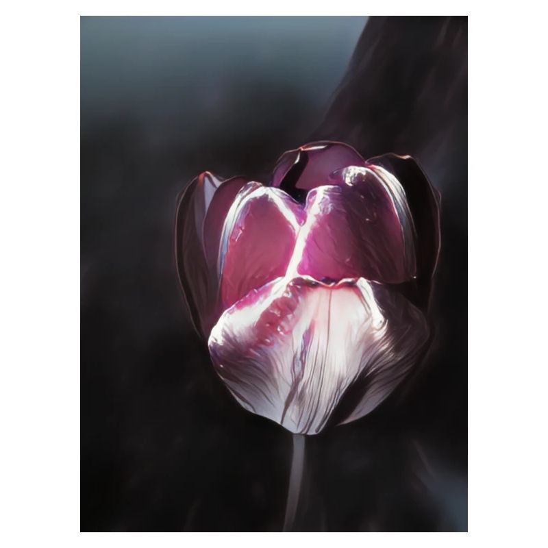 Tulpe comic