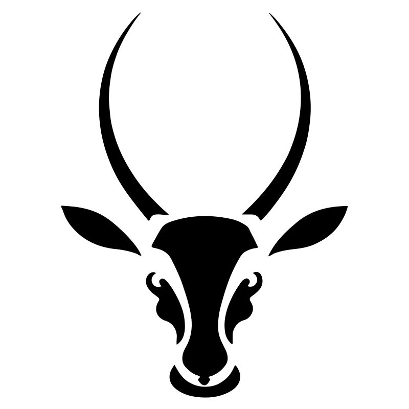 Springbock Antilope Südafrika