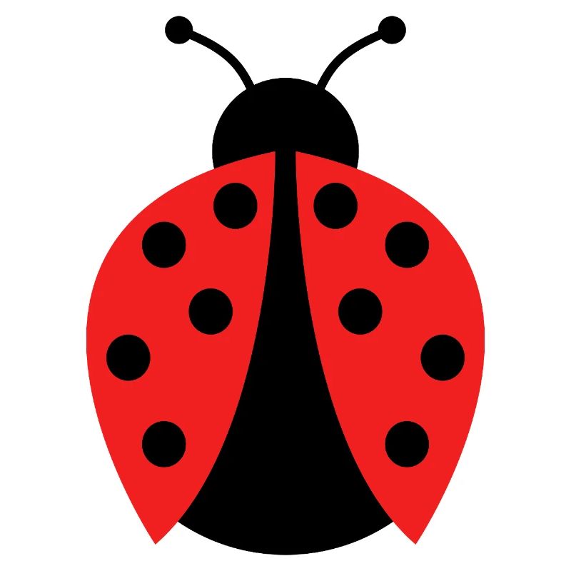 ladybug