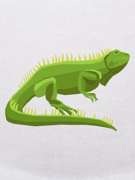 Wildtiere