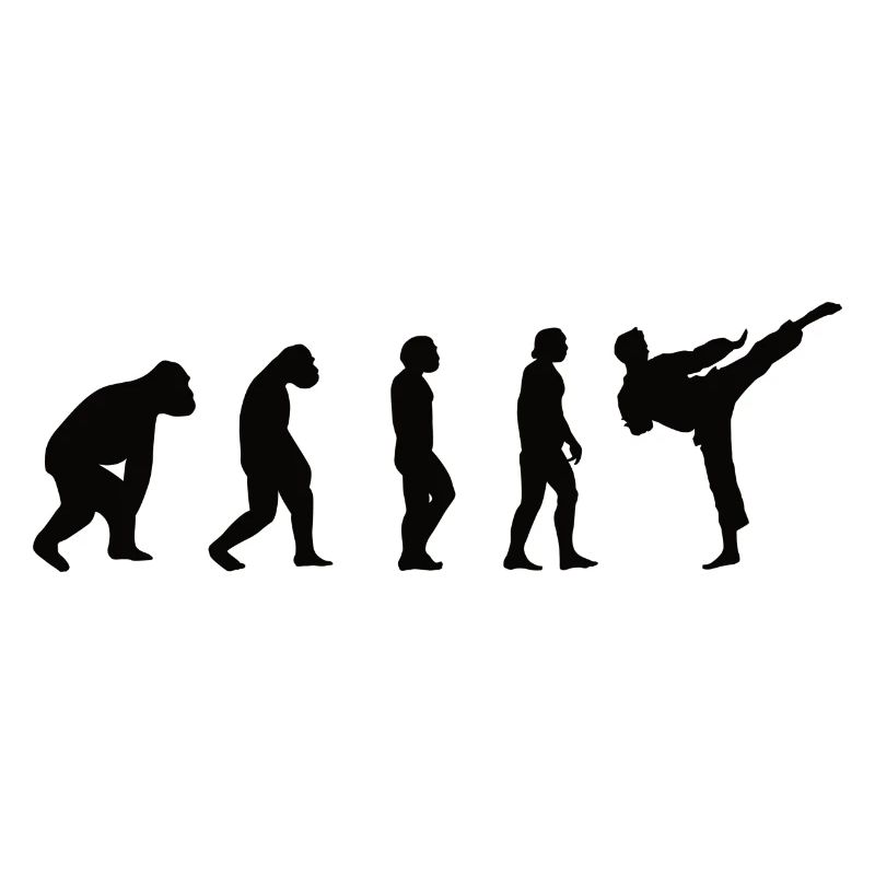 Kickboxen Evolution Kampfsport Boxen Ringen Spruch