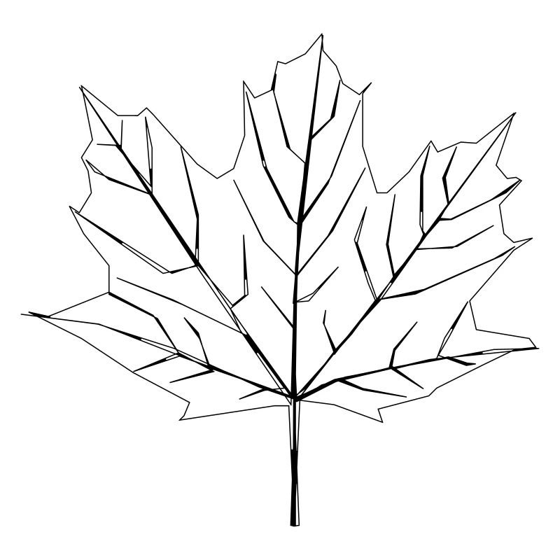 feuille d'érable