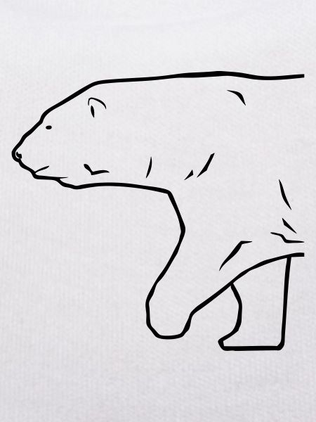 Polar Bear - Eisbär