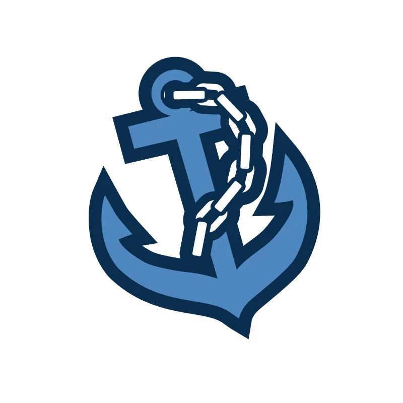 Anchor with chain