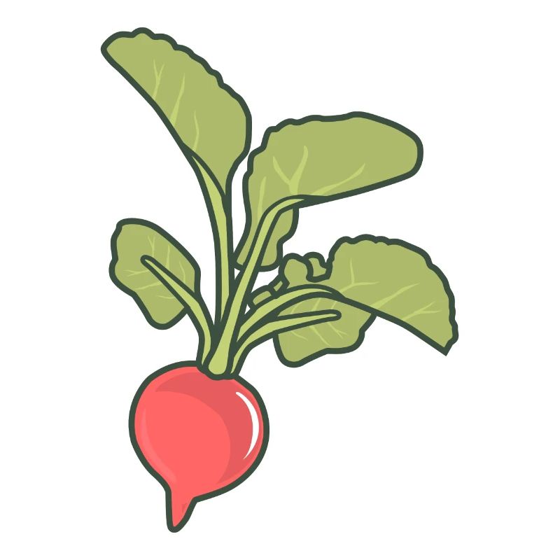 Radieschen