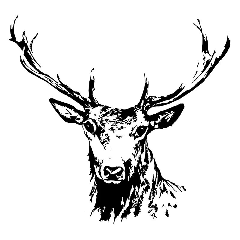 Hirsch