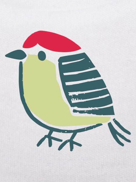 Vogel Amsel Drossel Fink Star