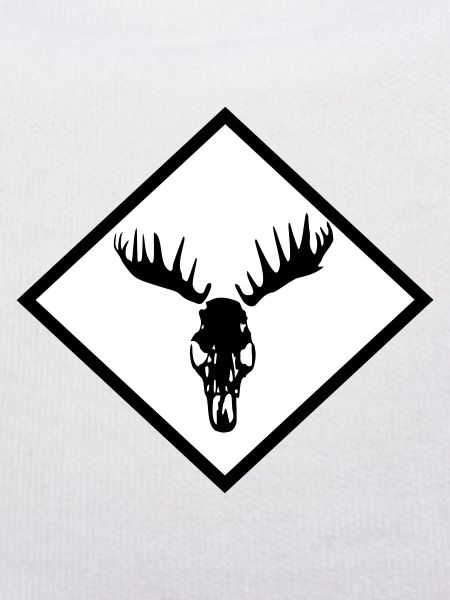 Moose Skull