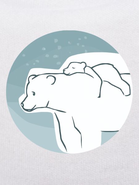 Eisbär mit Jungem