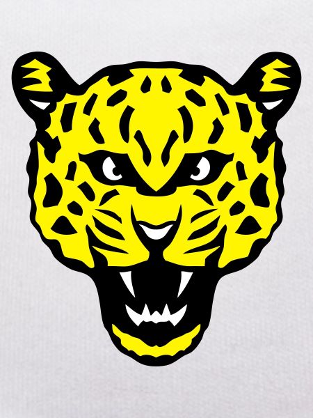 head leopards wild animals