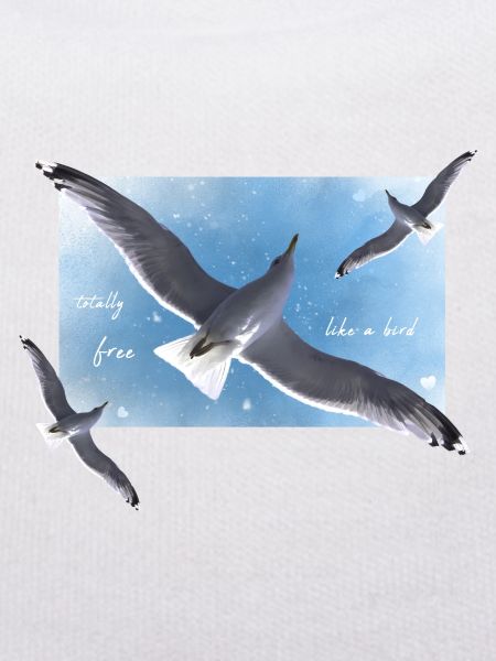 Soyez libre comme un oiseau