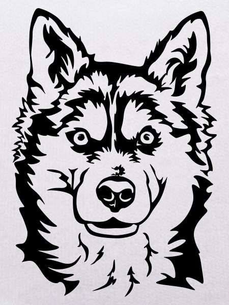 Husky Head