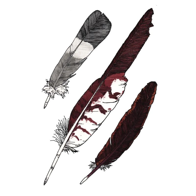 Feather Collection - Three Feathers Hand Drawn
