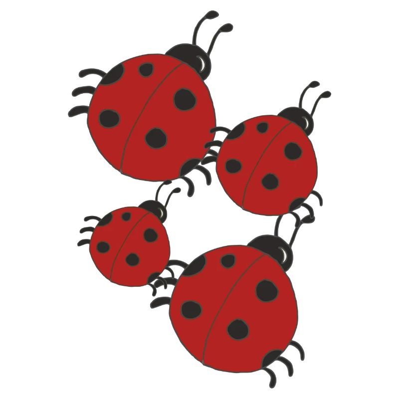 Ladybug family