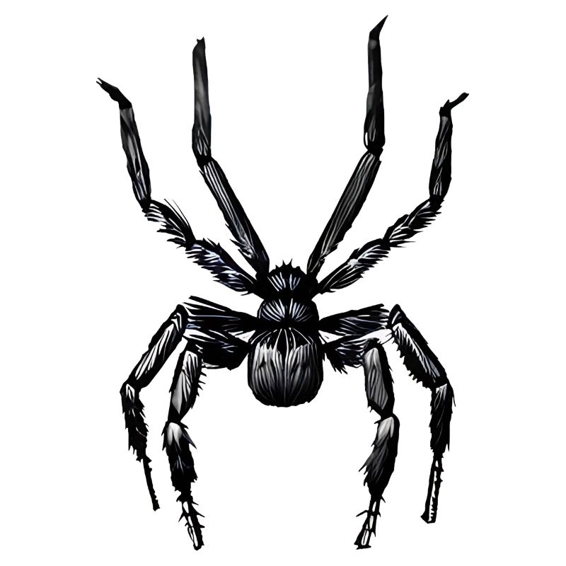 Spinne