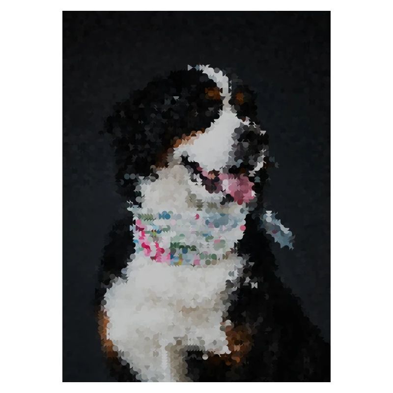 Mosaikhund mit buntem Halsband