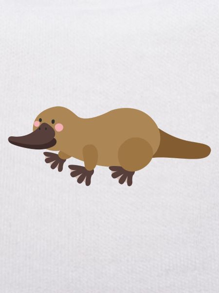ornithorynque