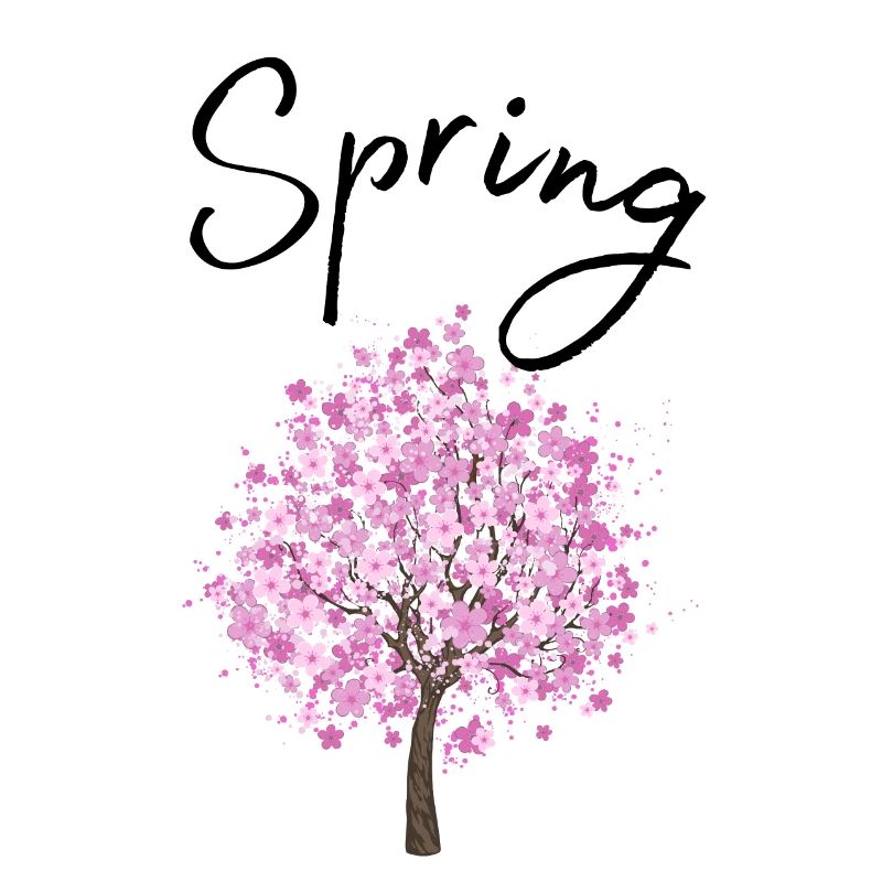 Printemps | Printemps | Arbre | Fleurs | Soleil