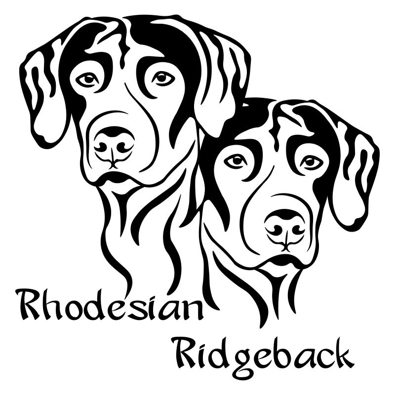 2 Rhodesian Ridgeback / helle Stoffe