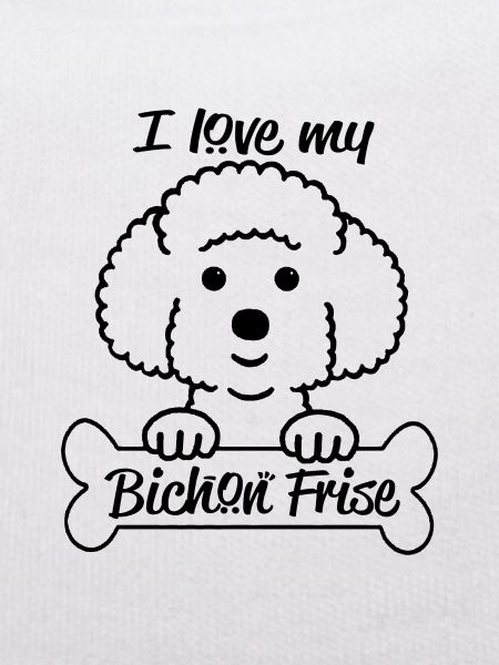 Bichon Frise