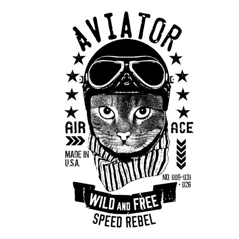 Un chat sauvage
