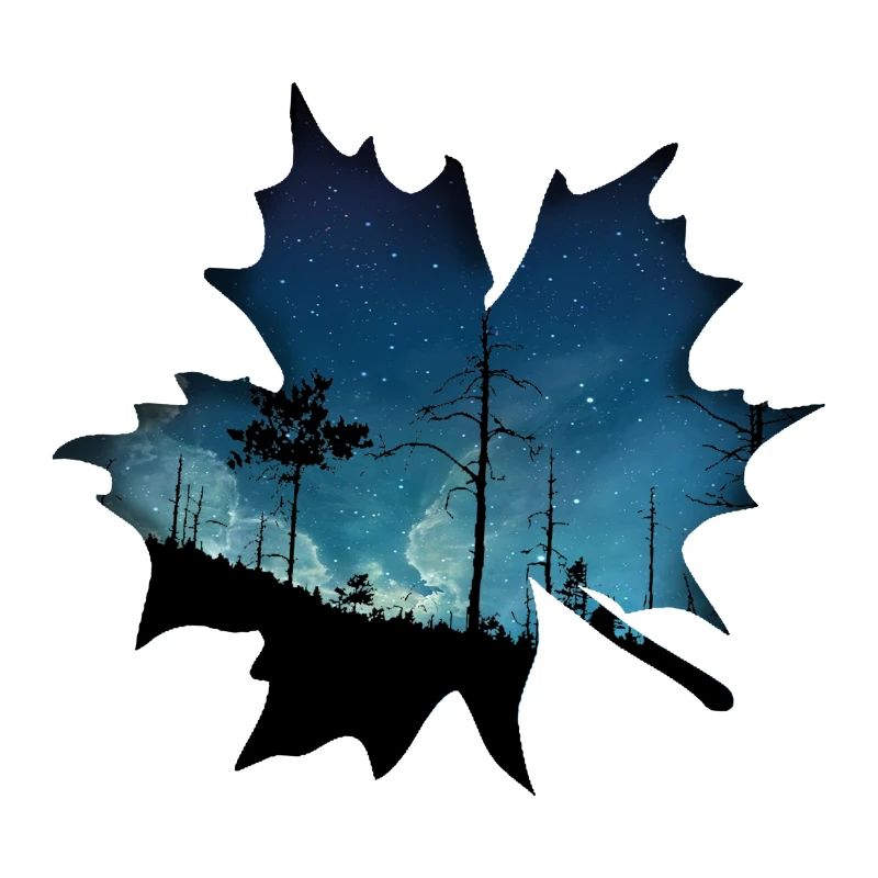Leaf gift tree night forest nature star maple