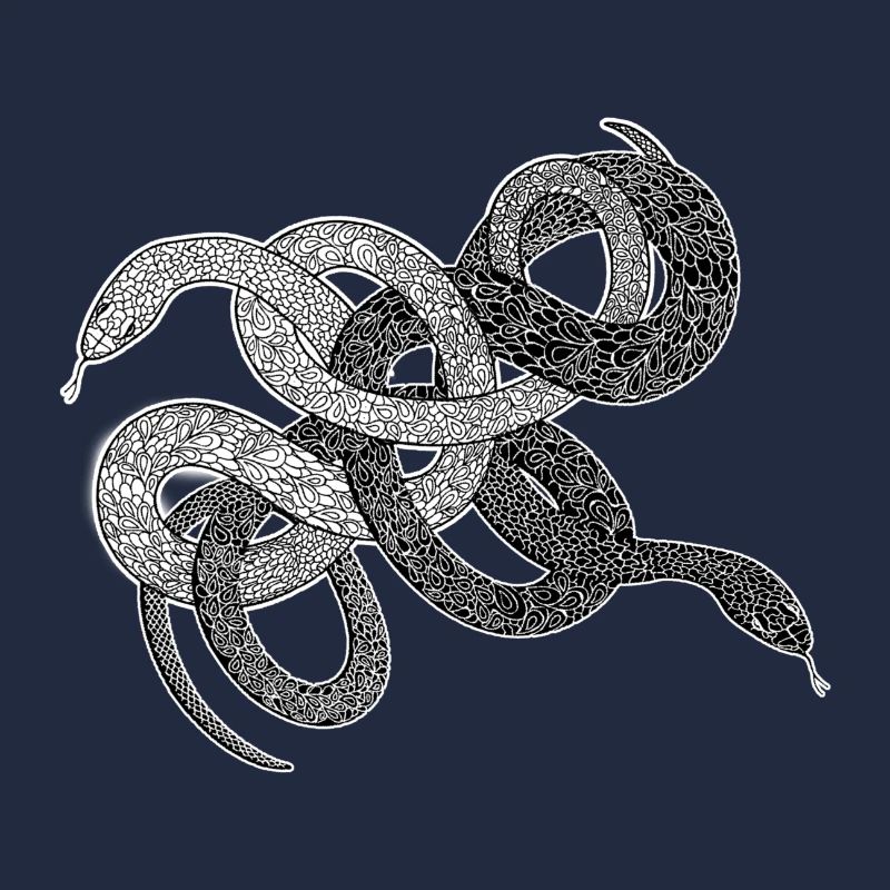 Schlangen Geschenk python anaconda snake