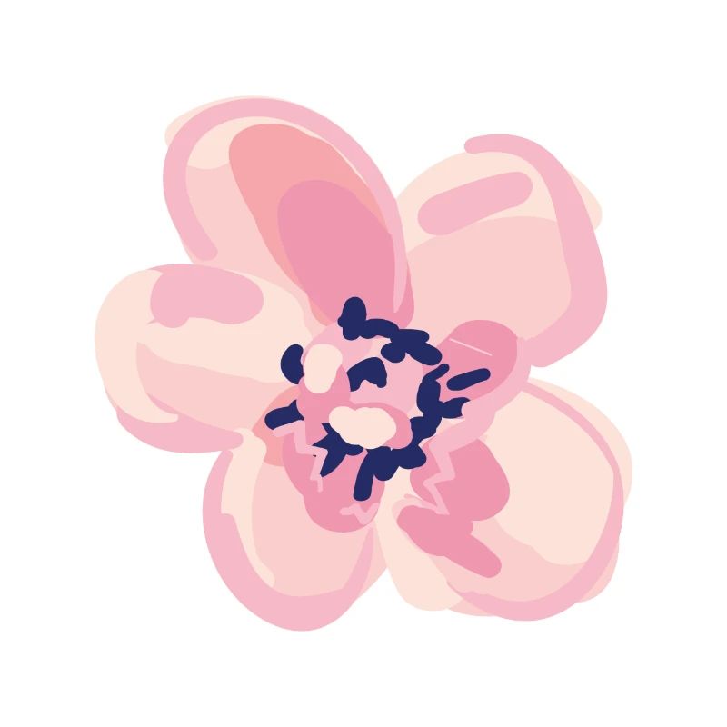 Fleur de printemps fleur d'été rose