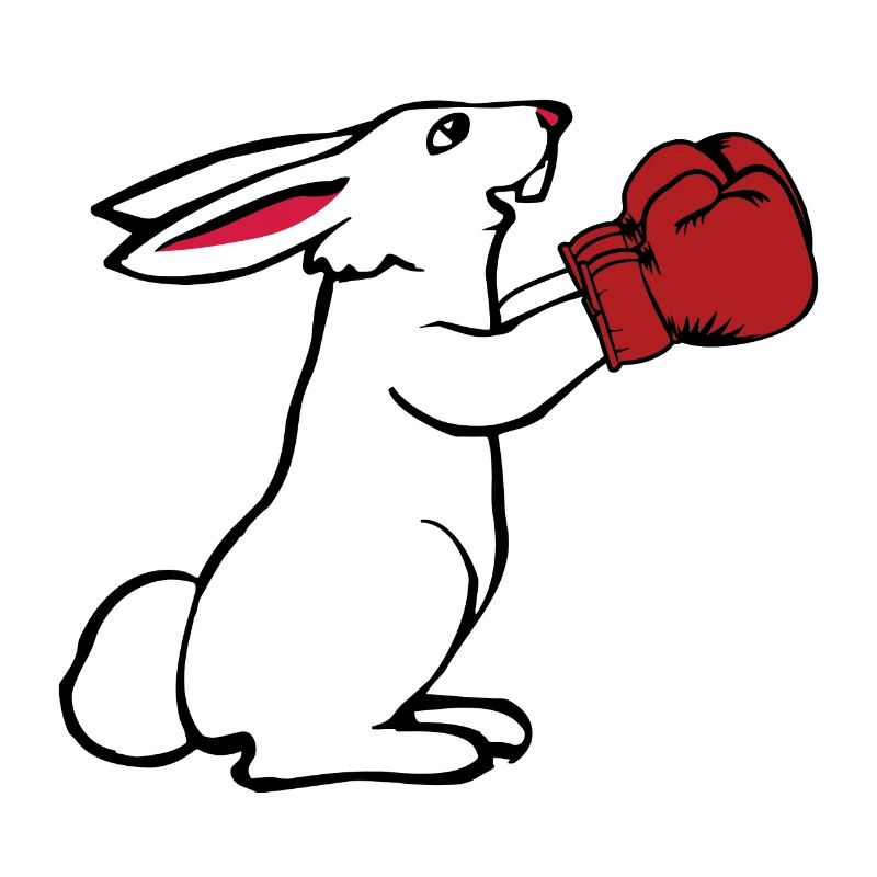 Gants de boxe boxe coffrets cadeaux