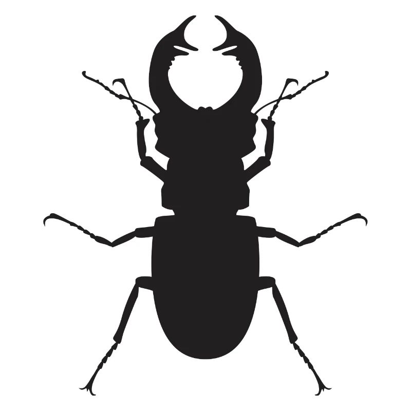 Hirschkäfer