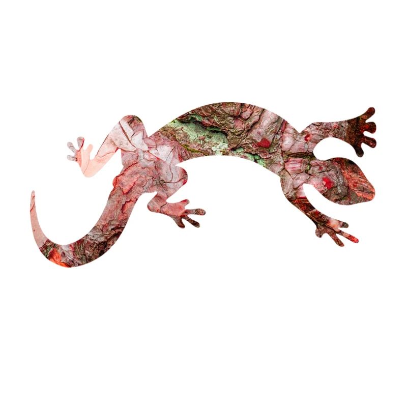 Red lizard reptile