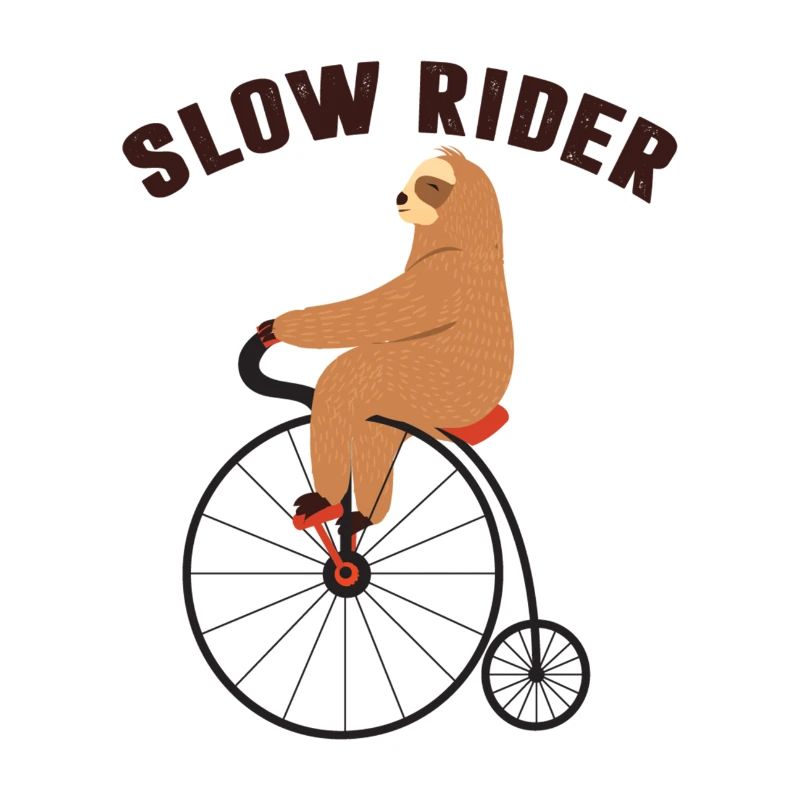 SLOW RIDER