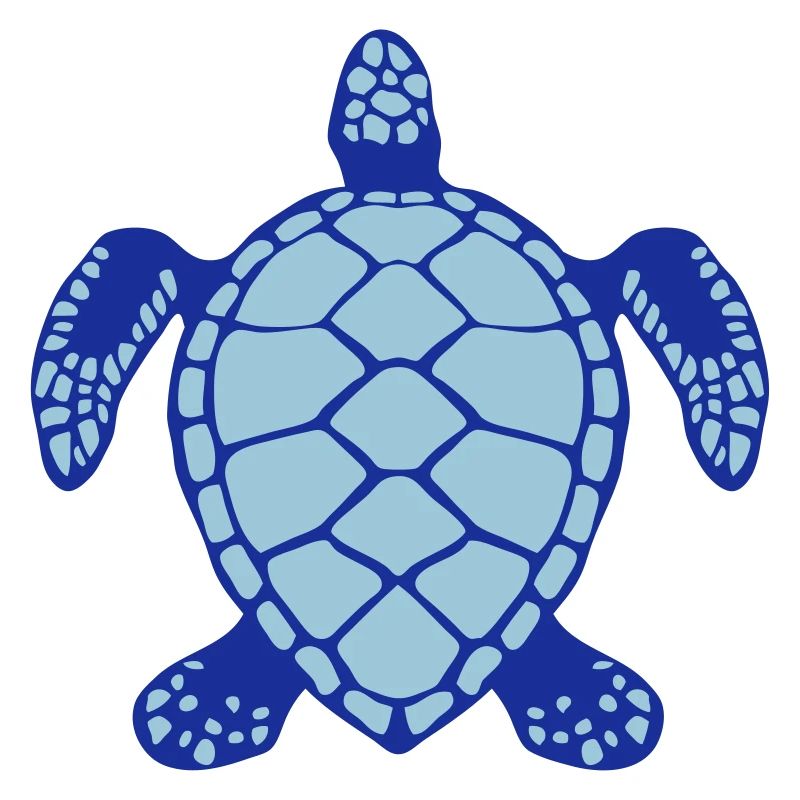 sea turtle animals 60