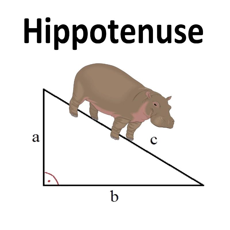 Hippotenuse