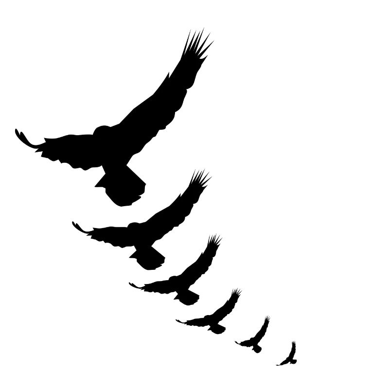 aigle