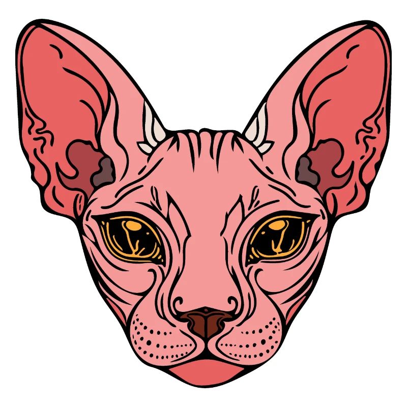 Sphinx Cat