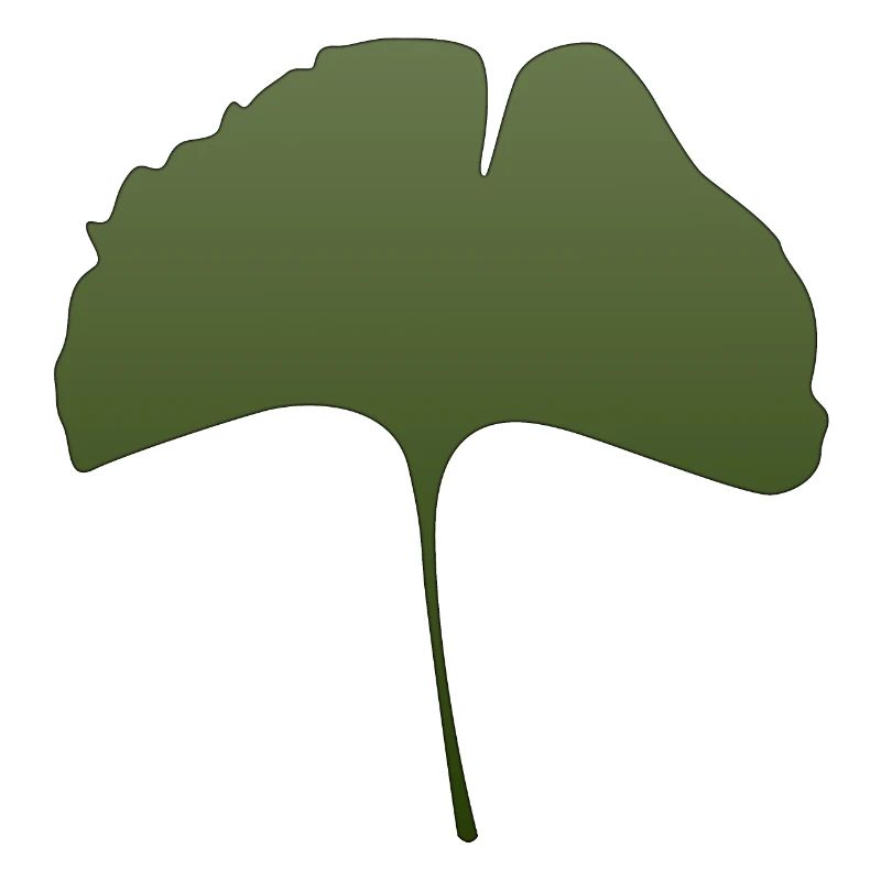 Ginkgo
