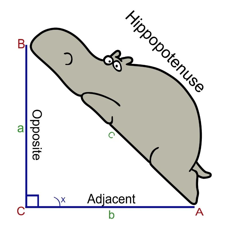 Hypotenuse Mathe Humor