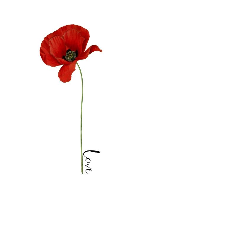 Mohnblume Love