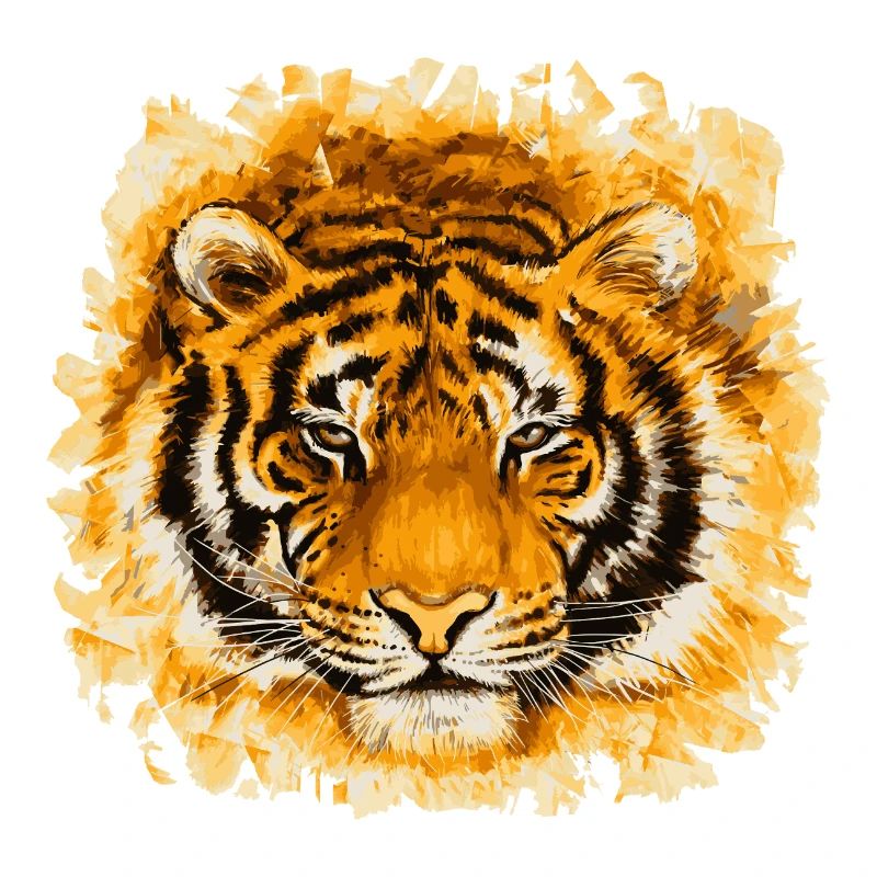 Tiger Face