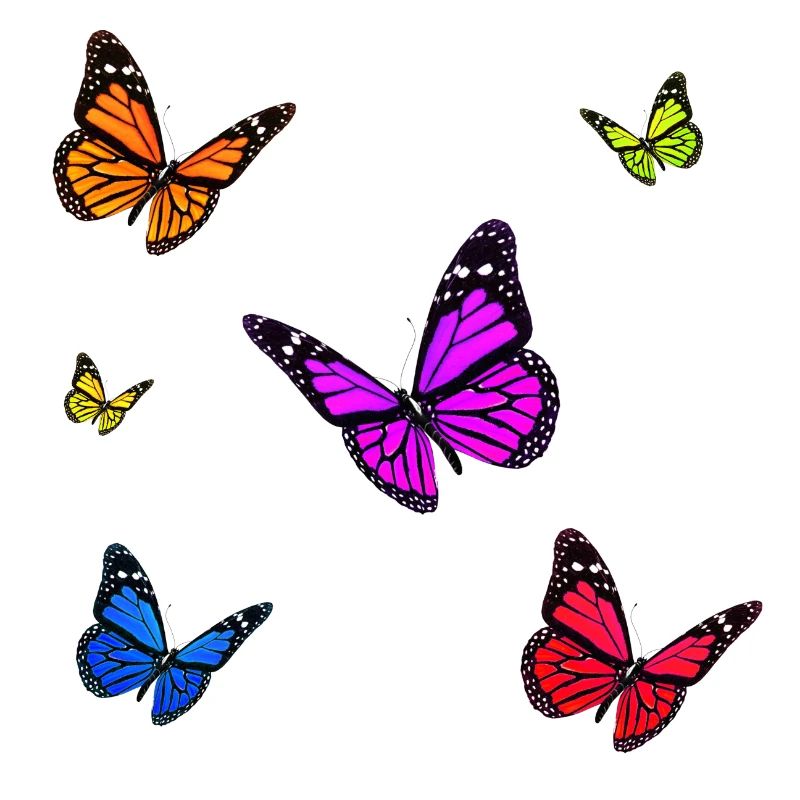 Ensemble papillon monarque multicolore