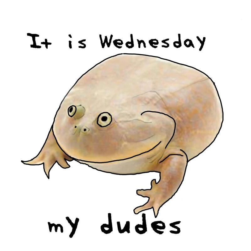 C’est mercredi mes mecs - mème