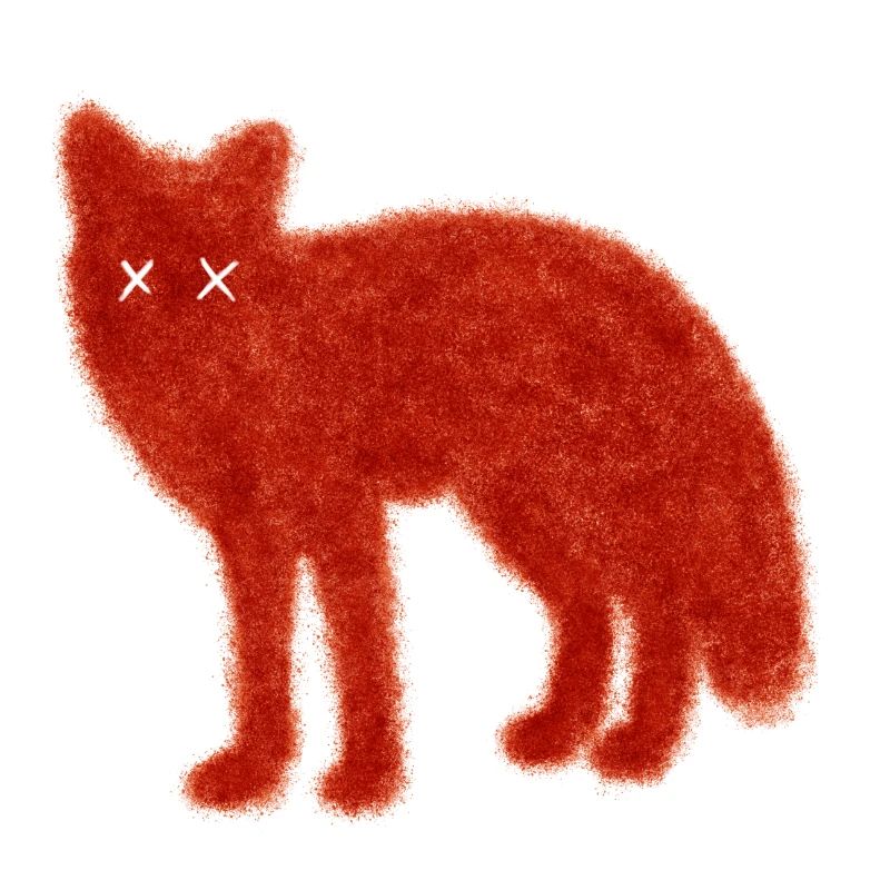 Dead Fox