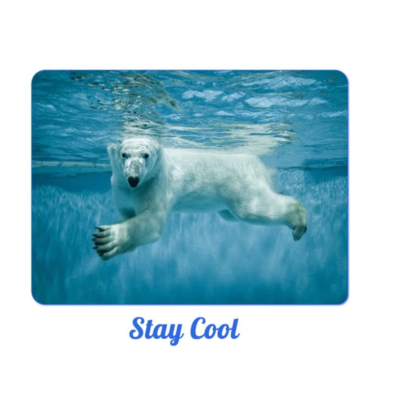 Eisbär