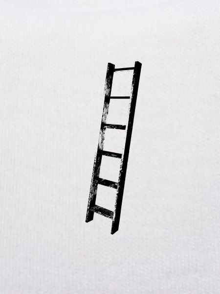 ladder black