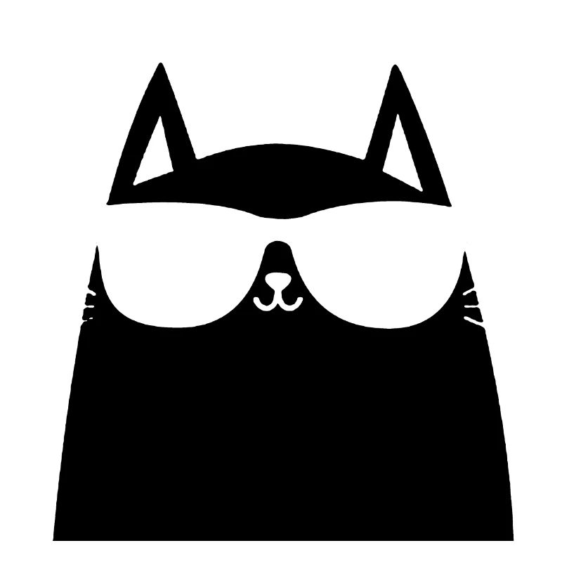 cat with glasses