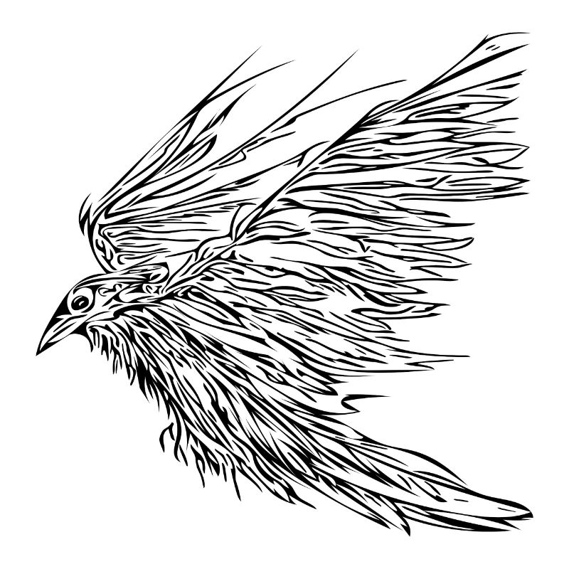Flying raven