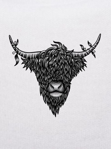 Highland Cow